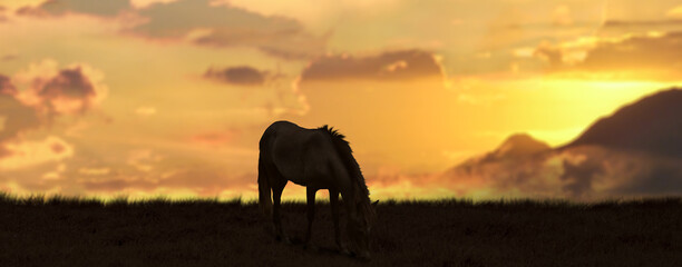Fototapeta na wymiar a silhouette Horse grazing at sunset in the background.