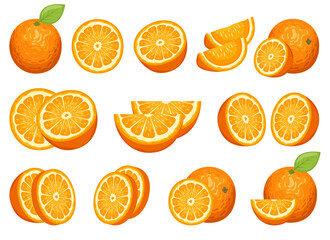 Delicious orange fruit vector design illustration isolated on white background