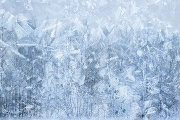 winter patterns window trees, abstract seasonal ice background