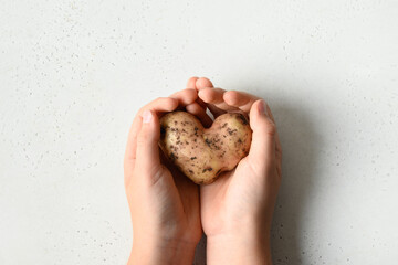 Abnormal organic potato in shape of heart in child hands on white. Concept ugly vegetables. View...