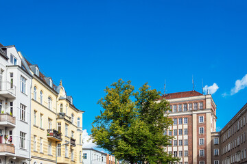Obraz premium Gebäude und Baum in der Blücherstraße in der Hansestadt Rostock