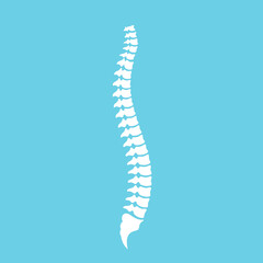 Human spine and correct posture vector icon - obrazy, fototapety, plakaty