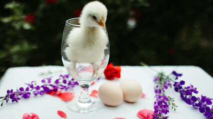 easter table setting