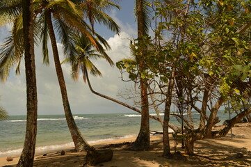 The picture perfect beaches of the beautiful Bocas Del Toro islands in Panama, Caribbean