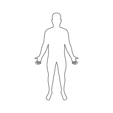 Human body thin line. Male body silhouette. Man symbol. Vector element for design.