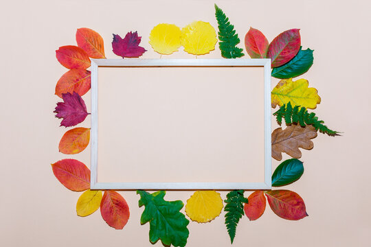 mock up wooden horizontal photo frame surrounded by colorful autumn leaves, yellow, red, green. flat lay
