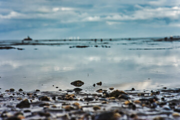 Wattenmeer