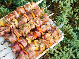 juicy meat on skewers, barbecue, on a white tray