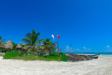 Obraz na płótnie Canvas beach with trees