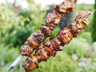 delicious meat skewers with bell pepper, grilled on a charcoal grill