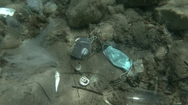 Dead Greater weever fish (Trachinus draco) hitting trapped in plastic bag lies inside plastic bag on the seabed among the medical face mask, plastic and other garbage. Plastic pollution of Ocean.  