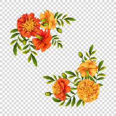 Marigold Flowers Design - 384544596