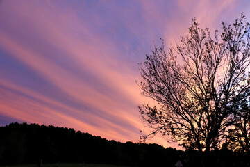 Sunset at the winery, September 2020