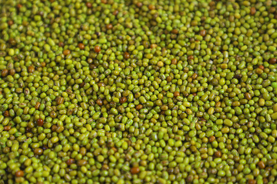 Mung bean, green moong dal .