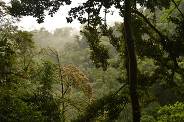 The cloud forests and waterfalls outside Arenal in Costa Rica, Central America © ChrisOvergaard
