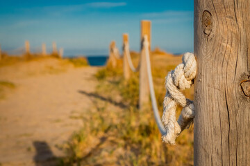 La Albufera, a natural area located in the province of Valencia, Spain