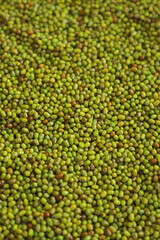 Mung bean, green moong dal .