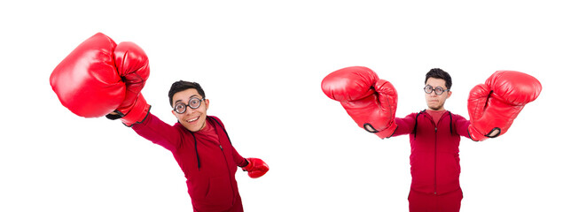 Funny boxer isolated on white