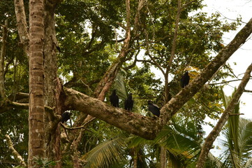 The cloud forests and beaches of beautiful Costa Rica in Central America
