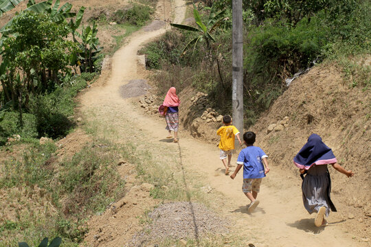 Children walk through a village road in the middle of fields planted with various types of plants
