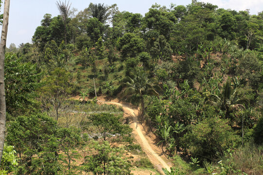 Village roads are still in the form of dirt and stones. View of fields in the Sukawangi area, Bogor, Indonesia