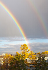 Multicolored rainbow in the sky over the city after rain on an autumn day. City landscape with yellowed trees in the yard. View from above