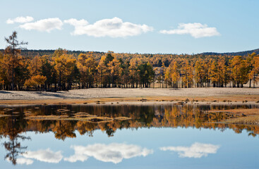 Baikal Lake. Olkhon Island on a sunny October morning. Sarayskiy sandy beach. Yellowed trees are reflected in the water. Beautiful autumn landscape. Natural background