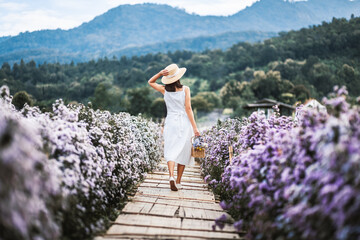 Traveler asian woman travel in flower garden in Chiang Mai Thailand