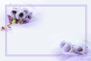 バイカラーの椿の花と扇と水引 Anniversary Wall Mural Anniversa Hanaphoto