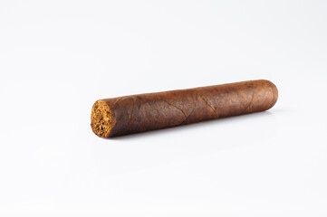 Cigar on white background