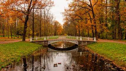 Golden autumn in Alexander park, Tsarskoe Selo Pushkin Saint Petersburg, Russia