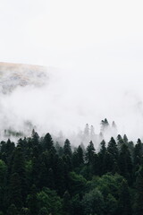 view of the mountains on a foggy summer day