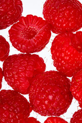 background of raspberries