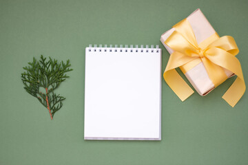 Christmas festive composition. Blank notebook for notes, a gift and a branch of thuja on a pastel green background. Flat lay, top view. Copy space for text.