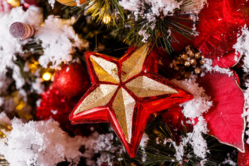 red christmas star