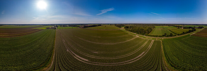 Aerial 360 degrees panorama of Dutch farmland landscape ready for use in 3D environment.
