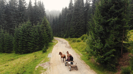 Fototapeta na wymiar Horse cart on the sandy path. People are riding on a carriage with two horses. Coniferous forest on both sides of the road.