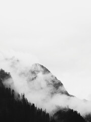 view of the mountains on a foggy summer day. black and white