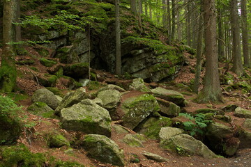 Boulders in a forest near Srni in Bohemia Forest,Plzen Region,Czech republic,Europe
