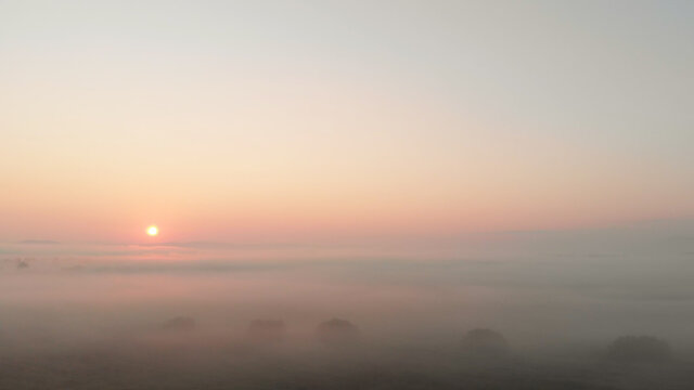 Beautiful sunrise landscape. The sun shining through the white thick fog. Purple dull sunshine in the morning sky.