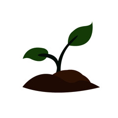 sprout growing from the earth