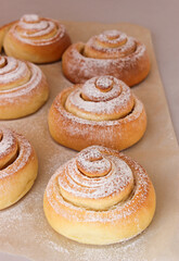 Soft, fluffy buns sprinkled with powdered sugar