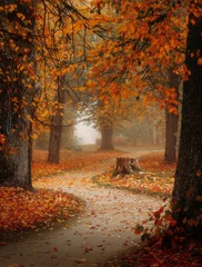 Poster autumn path © Mareks