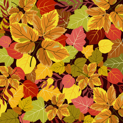 Autumn background with leaves. Template vector illustration.