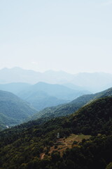 hillside.grassy landscape. mountains. forest. sunny day.