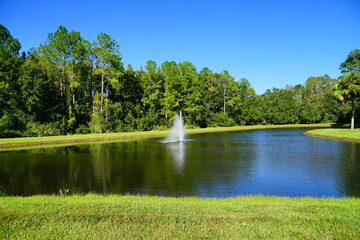 A Florida community pond in summer
