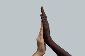 Two hands, black and white, touch with cotton. Grey isolated background. The concept of...