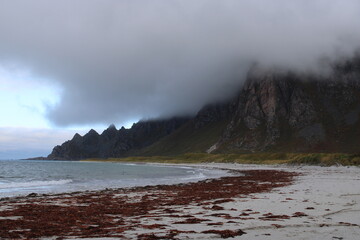 The beautiful coast in Northern Norway