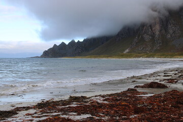 The beautiful coast in Northern Norway