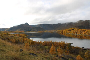 Obraz premium A colorful photo of the Norwegian landscape in autumn on Vesteralen islands